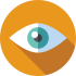 vision